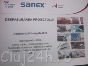 sanex 1