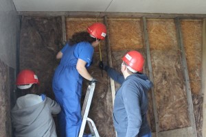 voluntari-Habitat-Cluj-montand-vata-minerala