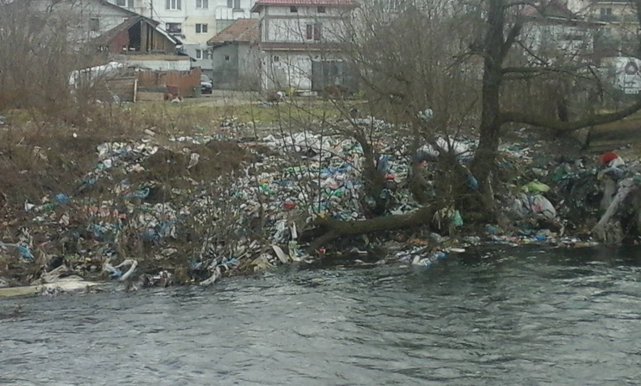 Groapa de gunoi „s-a mutat” la Floreşti. Nesimţirea unora nu are limite.