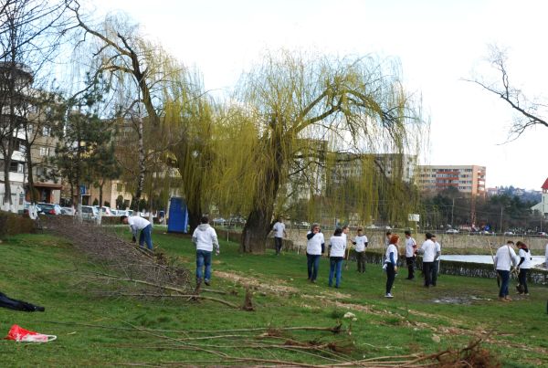 Peste 150 de tineri au plantat ieri, aproximativ 200 de arbori pe malul Someşului