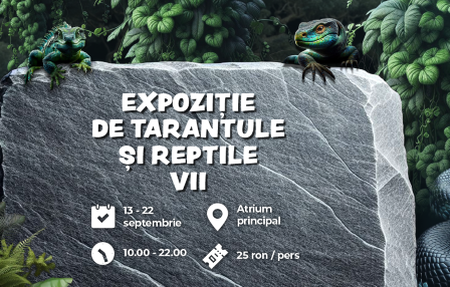 Expoziție de tarantule și șerpi vii, cluj24h.ro, știri din cluj, expoziție șerpi