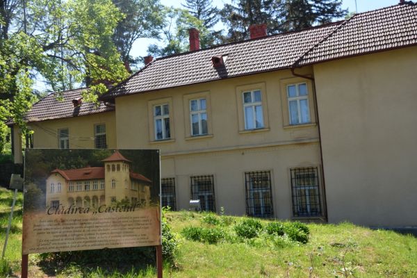 Castelul și domeniul lui Octavian Goga de la Ciucea rămân în proprietatea CJ Cluj.