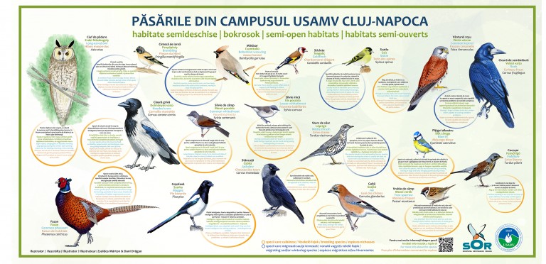 Trei ani de studiu pentru inventarierea păsărilor din campusul USAMV Cluj-Napoca. 15 liceeni cu deficiențe de auz, invitați la lansarea panourilor cu peste 50 de  specii de păsări.