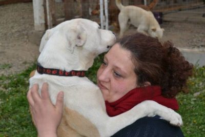Câini bătuţi cu lopata şi înfometaţi la adăpostul de animale din Dej  [Video. Imagini Şocante!!]