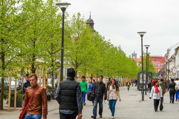 Cluj-Napoca: acțiune cu tratamente pentru arbori și arbuști.