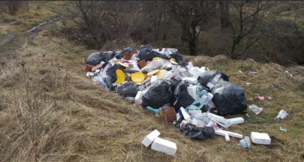Depozitare ilegală de deșeuri în pădurea Făget. Persoana care le-a depozitat a fost sancționată cu 4500 de lei