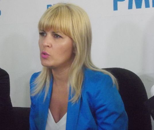 Elena Udrea a părăsit arestul central al Poliţiei Capitalei. Fostul ministru rămâne în arest la domiciliu