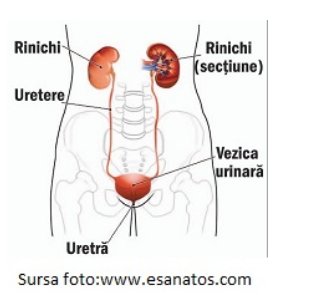 Infectia de tract urinar, infectie urinara tratament