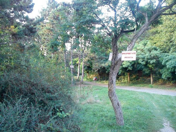 Ecologiştii din Cluj-Napoca propun la bugetul municipiului, exproprieri pentru spaţii verzi