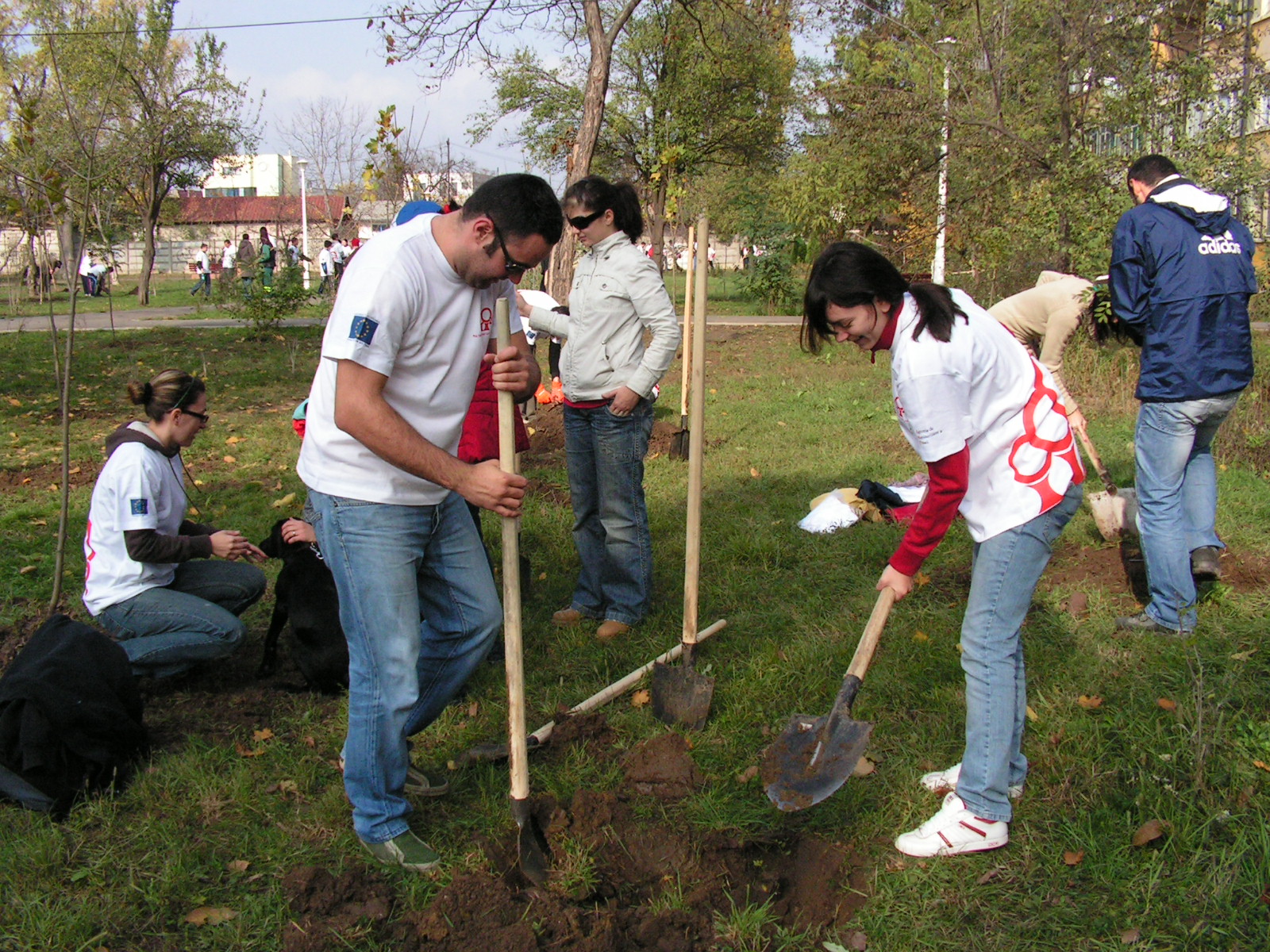 Începe acţiunea de plantare în Pădurea Clujenilor