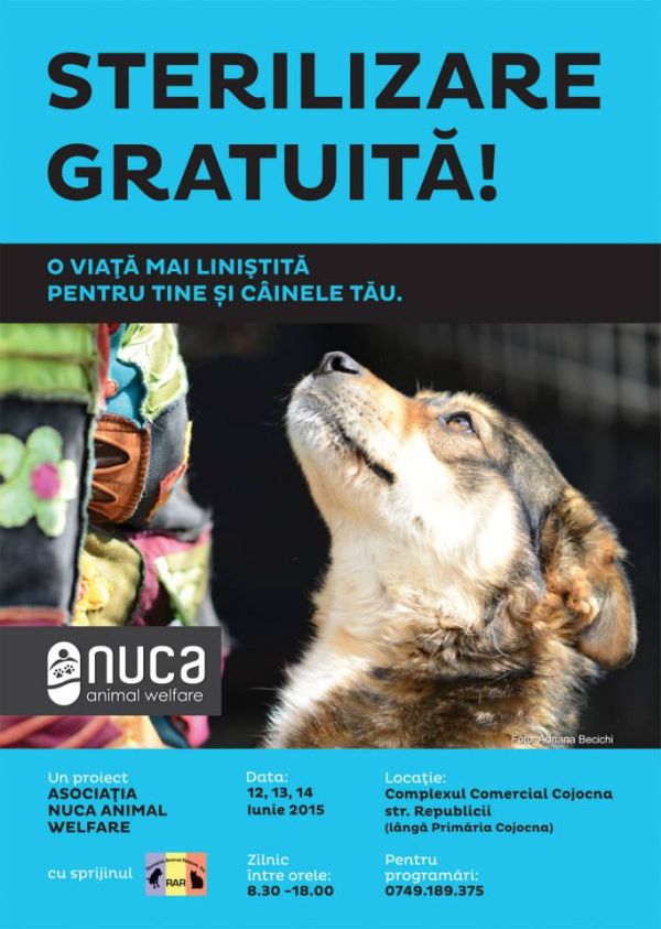 Campanie de sterilizare a câinilor gratuită în perioada 12-14 iunie la Cojocna