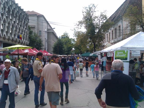 [Foto&Video] Am întâlnit mâini iscusite pe Strada Festivalului la Zilele Culturale Maghiare.